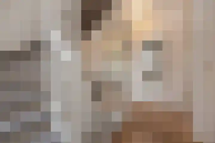 Aruba 8 Zoetermeer thumbnail 24