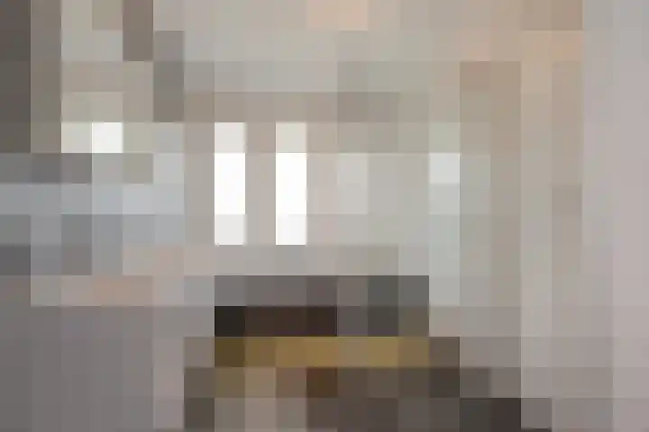 Aruba 8 Zoetermeer thumbnail 27