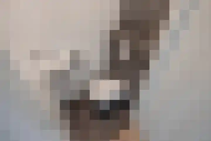 Aruba 8 Zoetermeer thumbnail 32