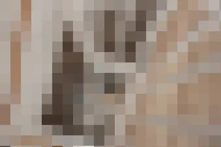 Aruba 8 Zoetermeer thumbnail 33