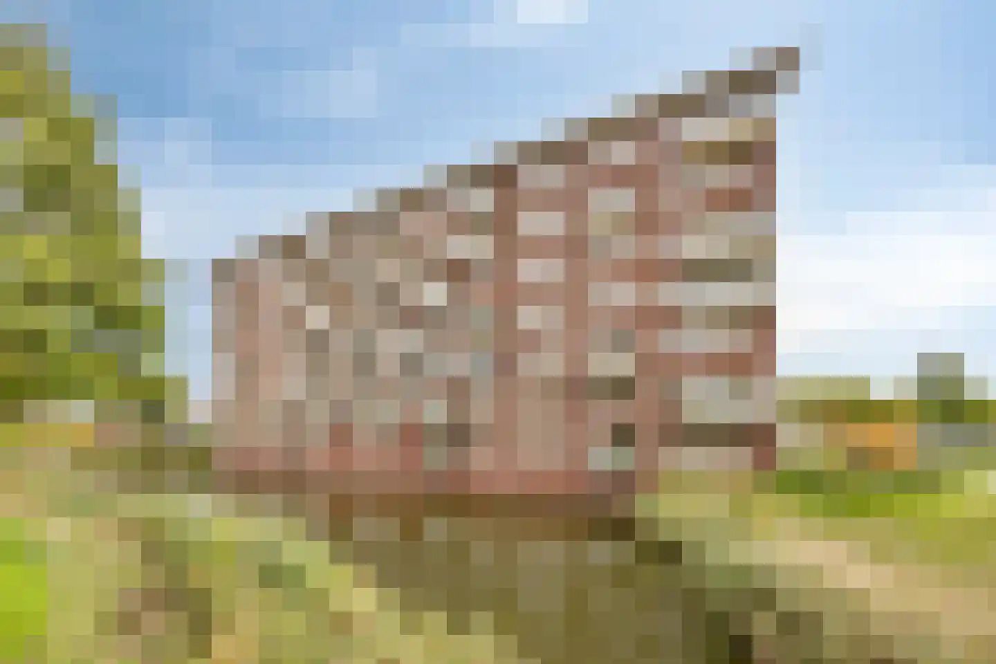 Aruba 83 Zoetermeer