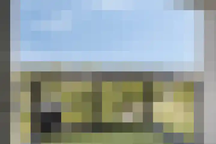 Aruba 83 Zoetermeer thumbnail 11