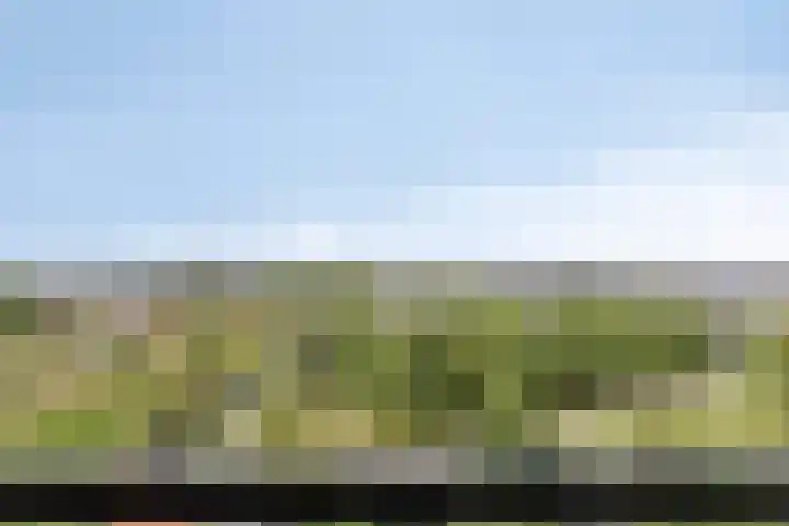 Aruba 83 Zoetermeer thumbnail 13