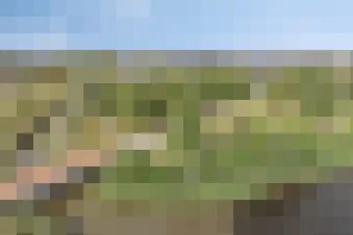 Aruba 83 Zoetermeer thumbnail 14