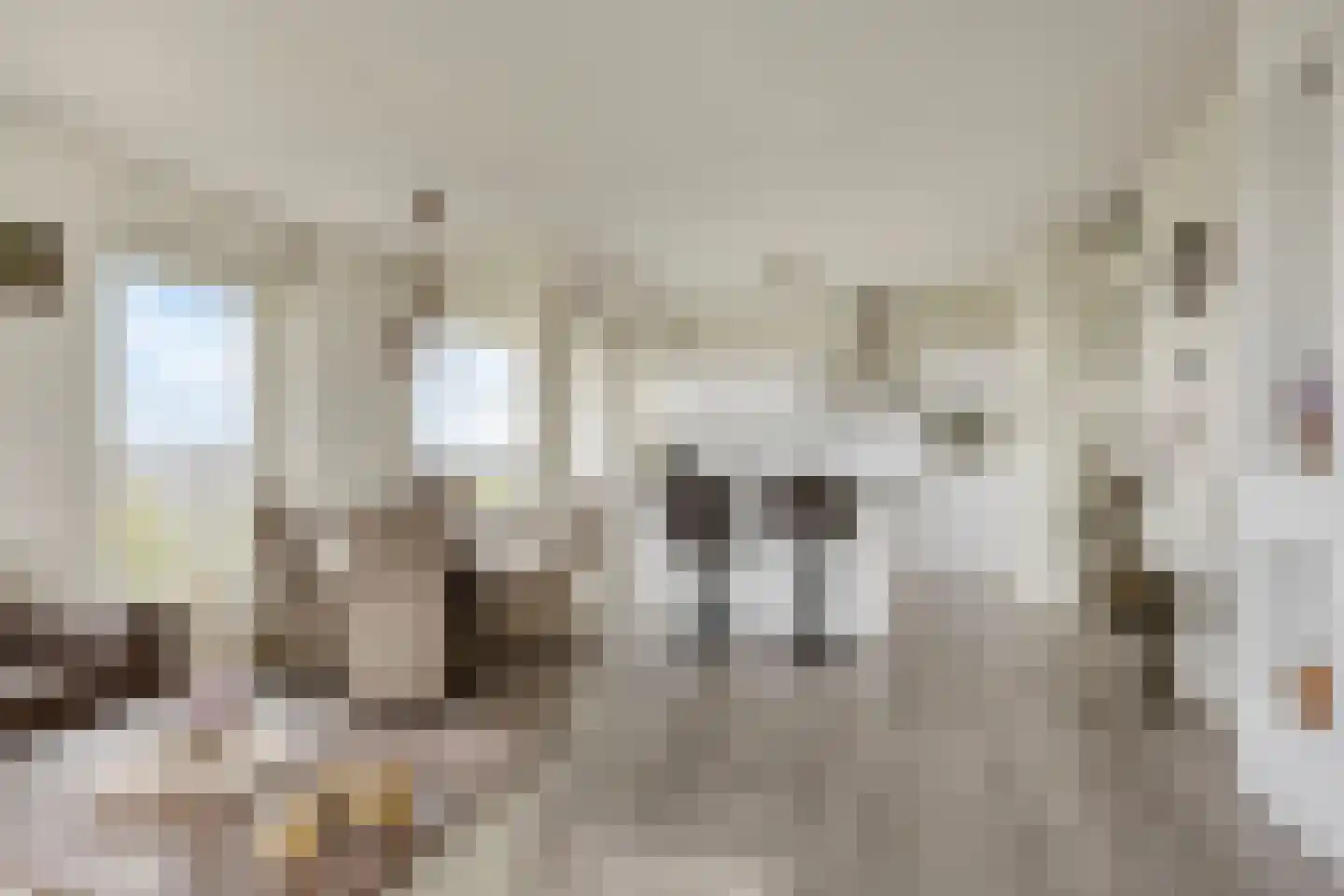 Aruba 83 Zoetermeer thumbnail 14