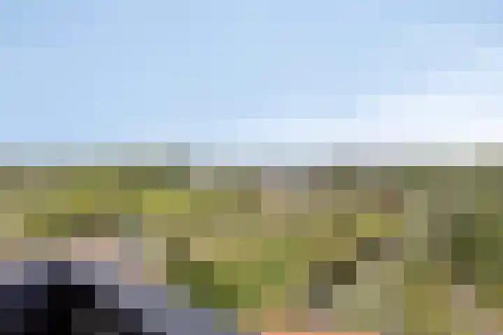 Aruba 83 Zoetermeer thumbnail 15