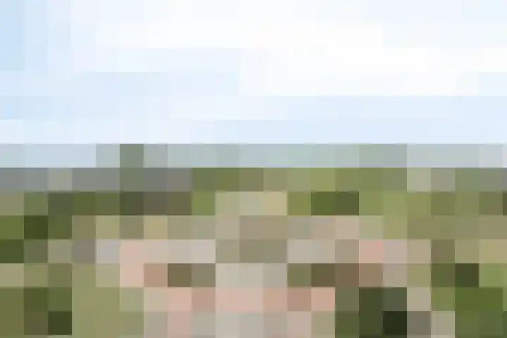 Aruba 83 Zoetermeer thumbnail 16