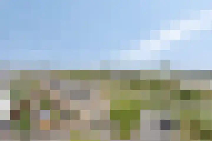Aruba 83 Zoetermeer thumbnail 17