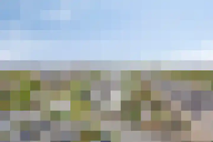 Aruba 83 Zoetermeer thumbnail 18