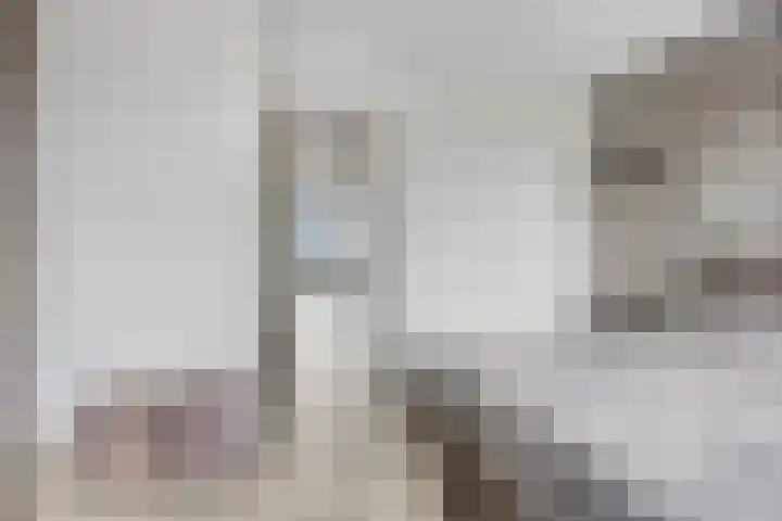 Aruba 83 Zoetermeer thumbnail 22