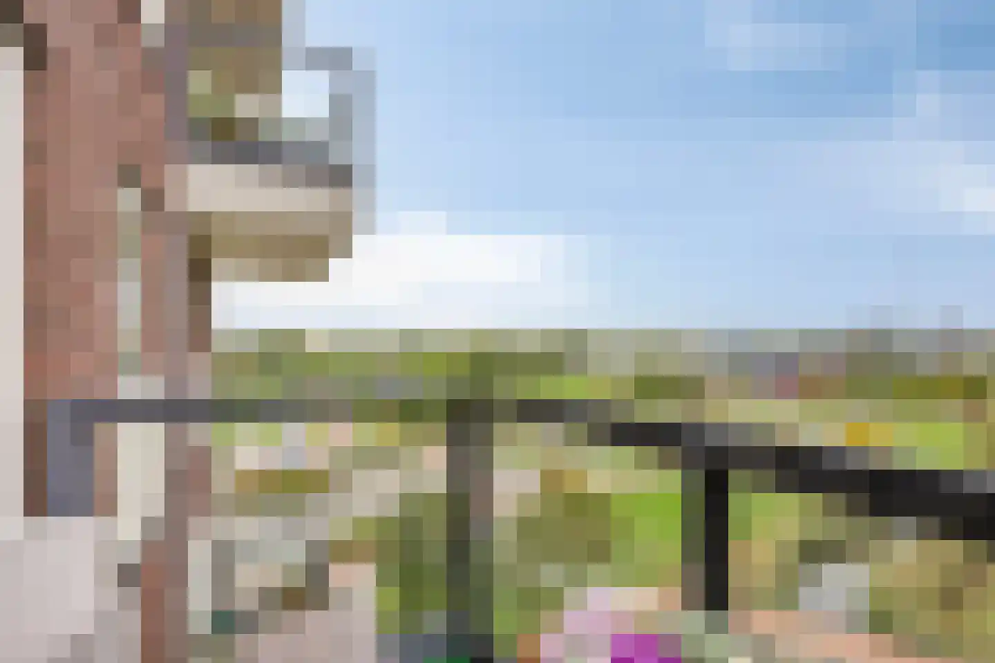 Aruba 83 Zoetermeer thumbnail 22