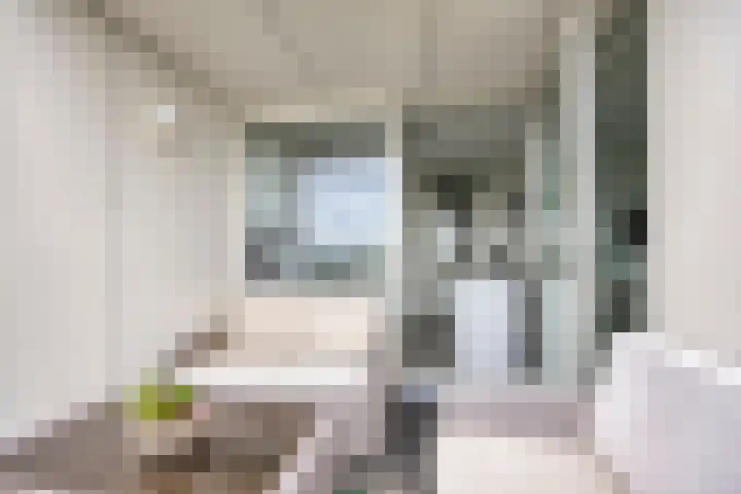 Aruba 83 Zoetermeer thumbnail 24