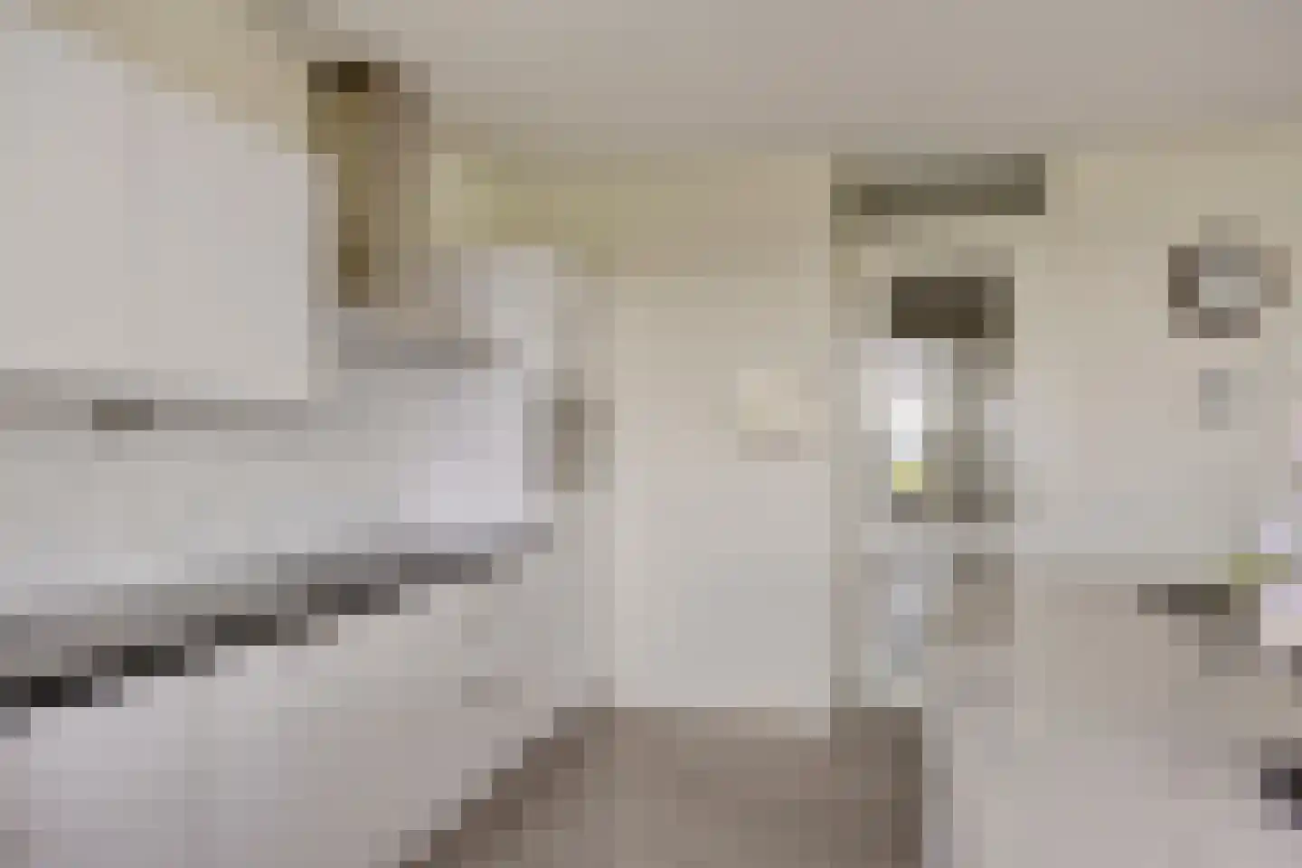 Aruba 83 Zoetermeer thumbnail 25