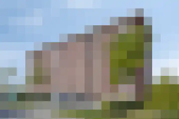 Aruba 83 Zoetermeer thumbnail 31
