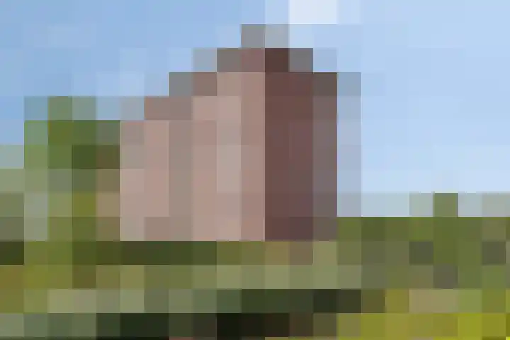 Aruba 83 Zoetermeer thumbnail 32