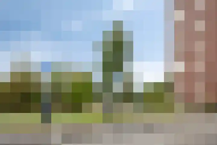 Aruba 83 Zoetermeer thumbnail 34
