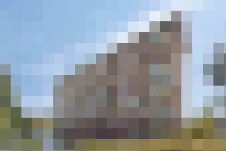 Aruba 83 Zoetermeer thumbnail 35