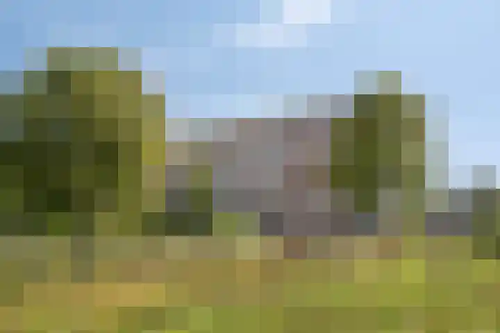 Aruba 83 Zoetermeer thumbnail 36