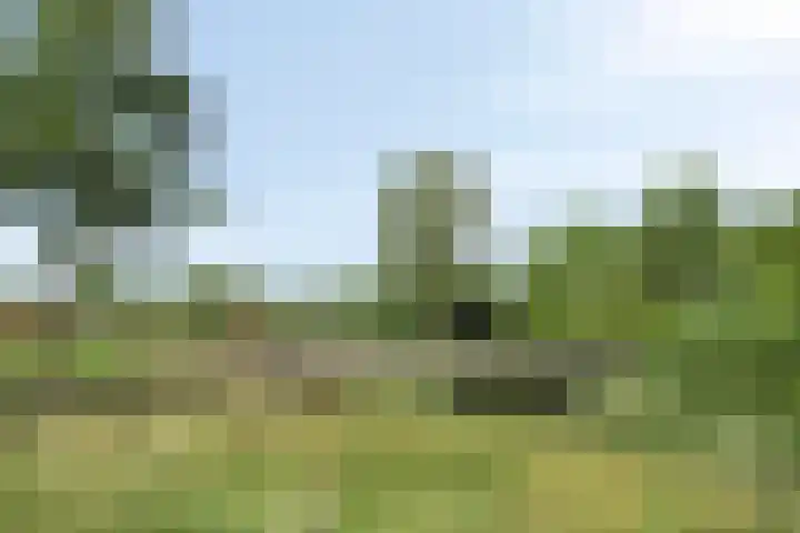 Aruba 83 Zoetermeer thumbnail 37