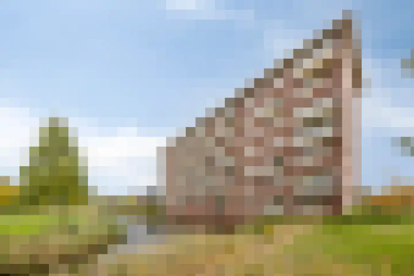 Aruba 83 Zoetermeer thumbnail 37