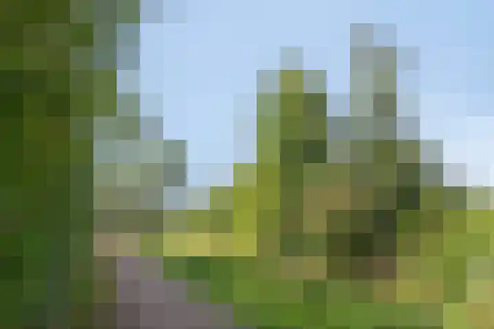 Aruba 83 Zoetermeer thumbnail 38