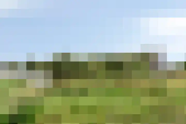 Aruba 83 Zoetermeer thumbnail 39