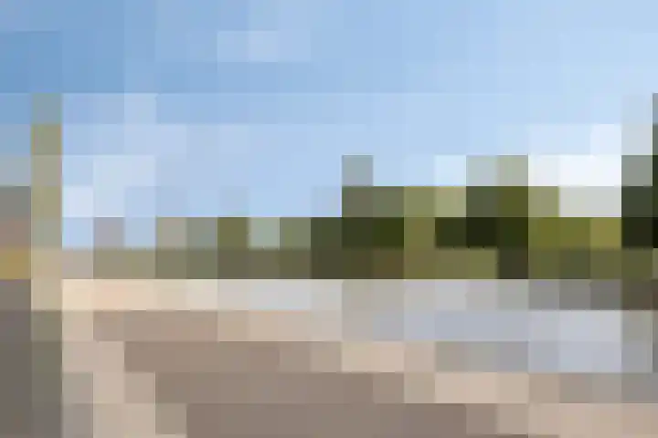 Aruba 83 Zoetermeer thumbnail 40