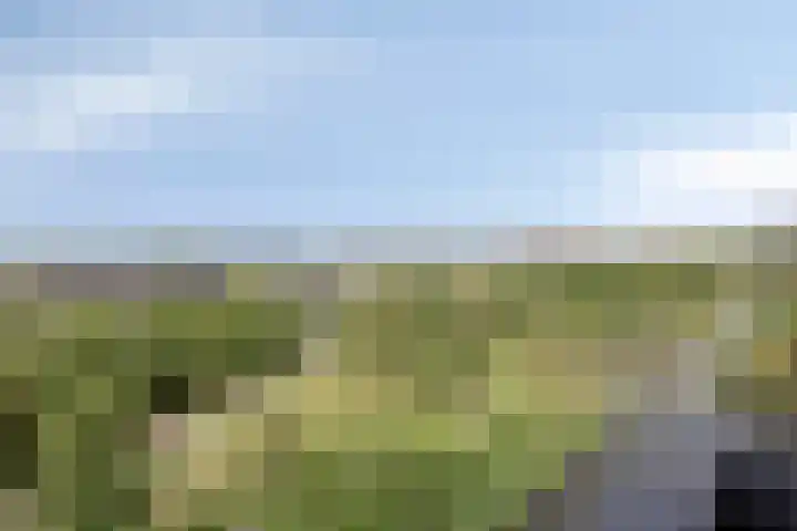 Aruba 83 Zoetermeer thumbnail 6