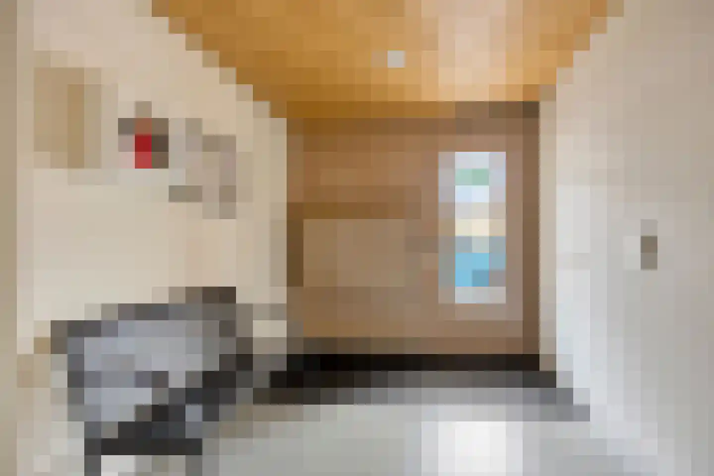 Aruba 83 Zoetermeer thumbnail 6