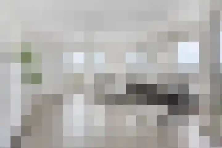Aruba 83 Zoetermeer thumbnail 7