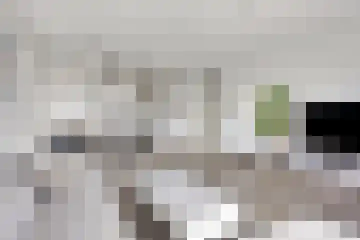 Aruba 83 Zoetermeer thumbnail 8
