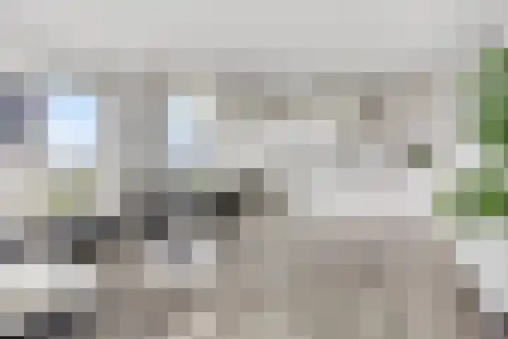 Aruba 83 Zoetermeer thumbnail 9