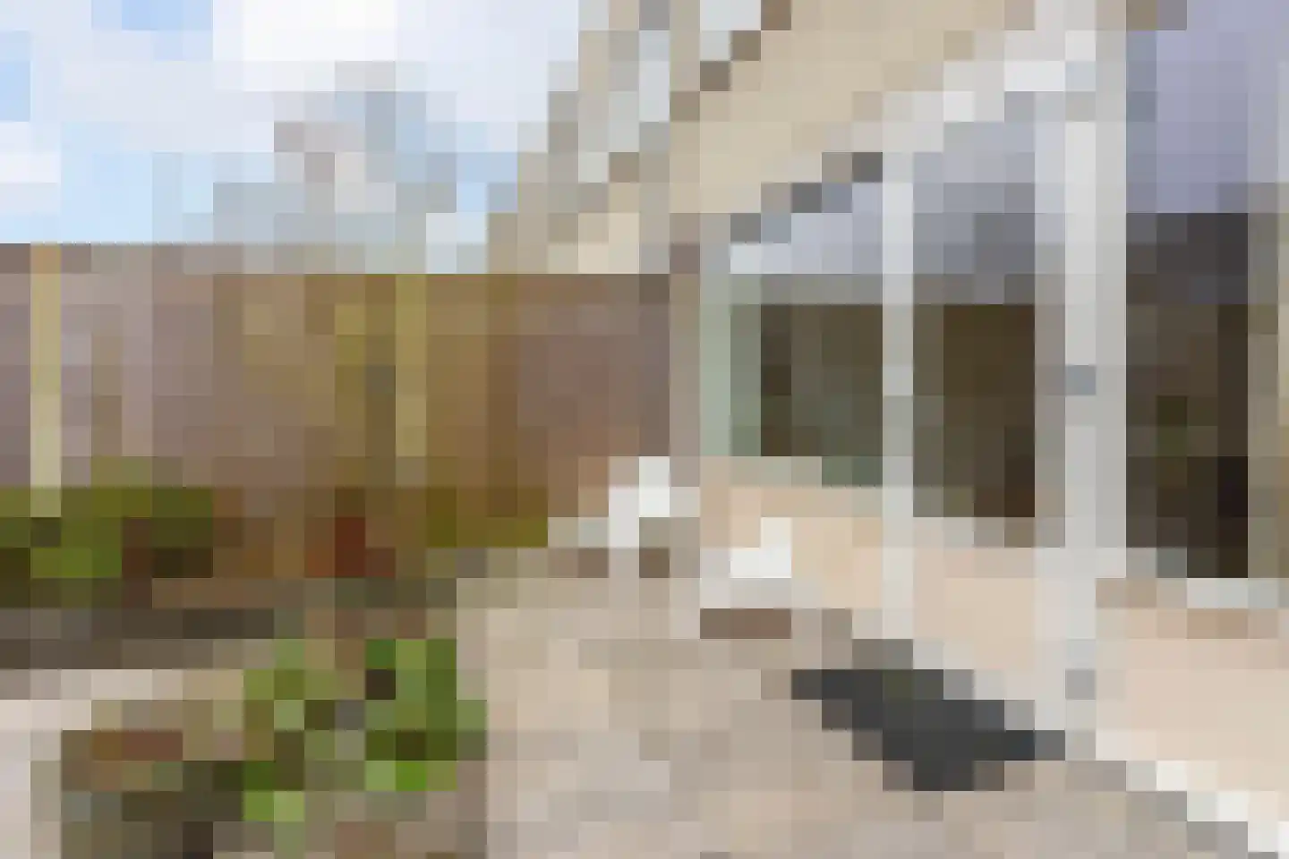 Arubadreef 2 Utrecht thumbnail 18