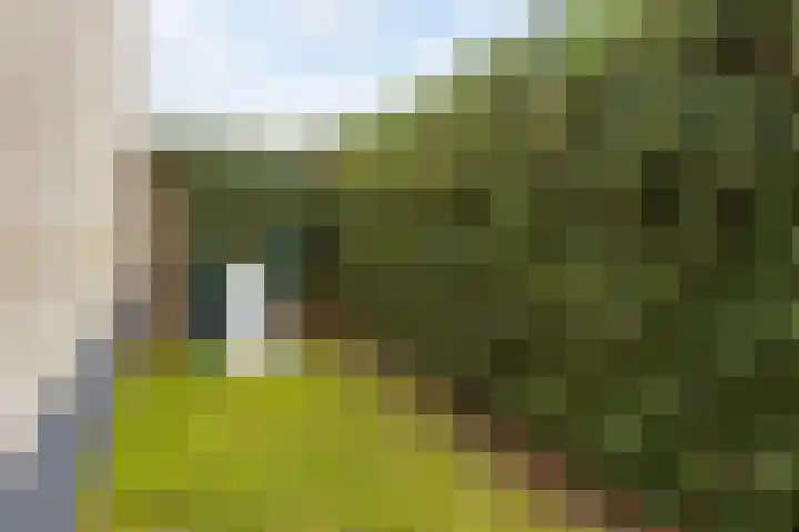 Arubadreef 2 Utrecht thumbnail 19