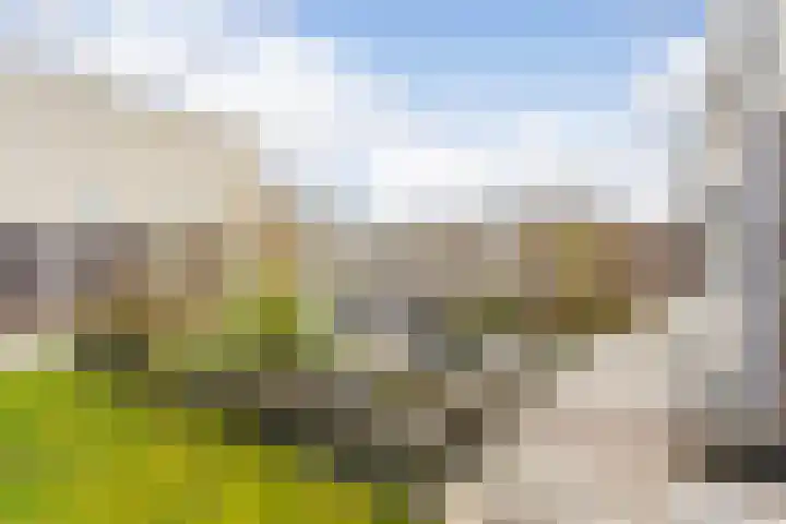 Arubadreef 2 Utrecht thumbnail 20