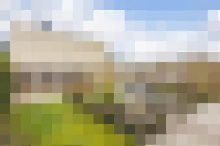 Arubadreef 2 Utrecht thumbnail 21