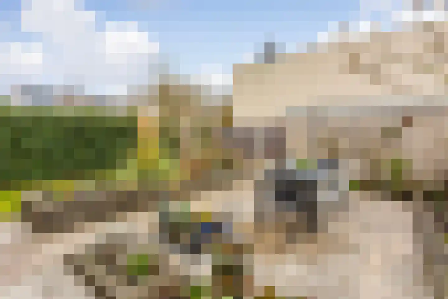 Arubadreef 2 Utrecht thumbnail 22