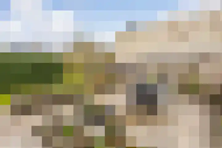 Arubadreef 2 Utrecht thumbnail 22