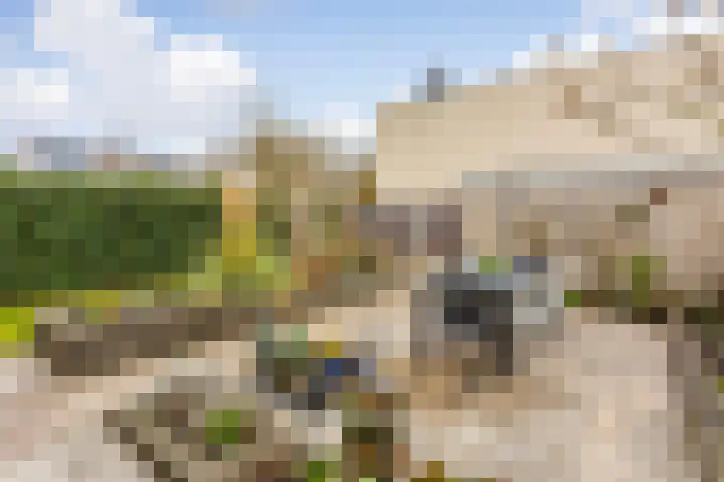 Arubadreef 2 Utrecht thumbnail 22
