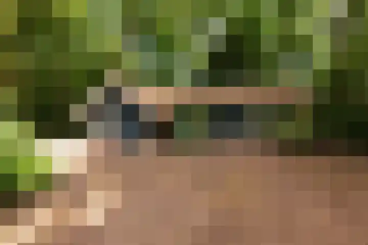 Arubalaan 11 Hilversum thumbnail 22