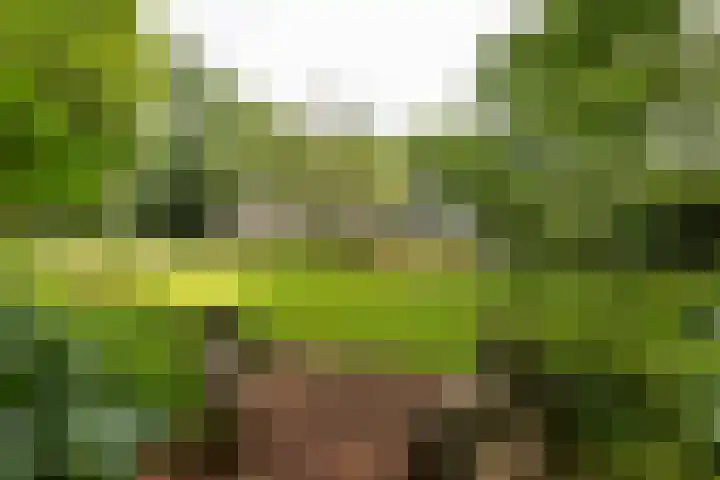 Arubalaan 11 Hilversum thumbnail 26