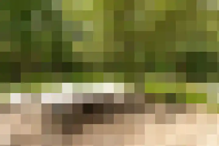 Arubalaan 11 Hilversum thumbnail 27