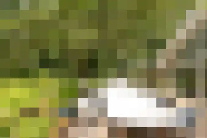 Arubalaan 11 Hilversum thumbnail 28