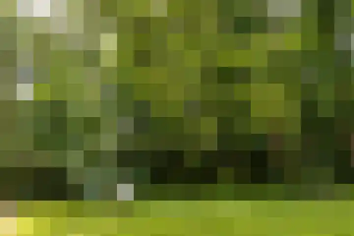 Arubalaan 11 Hilversum thumbnail 29