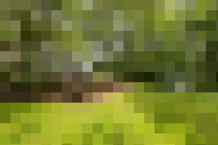 Arubalaan 11 Hilversum thumbnail 30