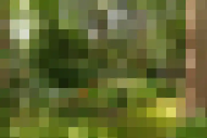 Arubalaan 11 Hilversum thumbnail 31