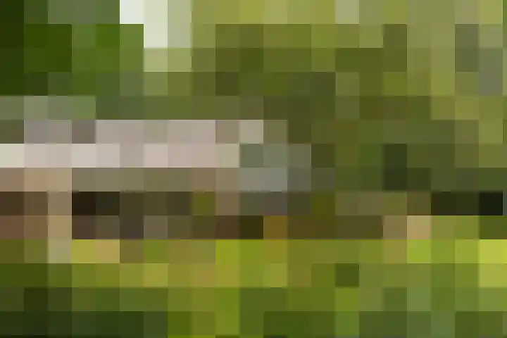 Arubalaan 11 Hilversum thumbnail 33