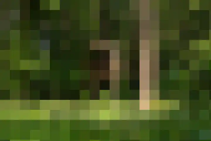 Arubalaan 11 Hilversum thumbnail 34