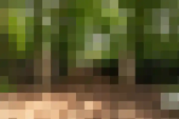 Arubalaan 11 Hilversum thumbnail 35