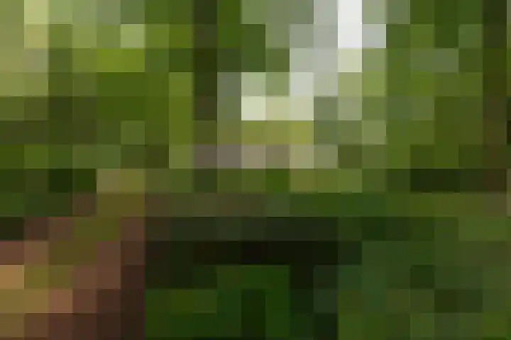 Arubalaan 11 Hilversum thumbnail 36